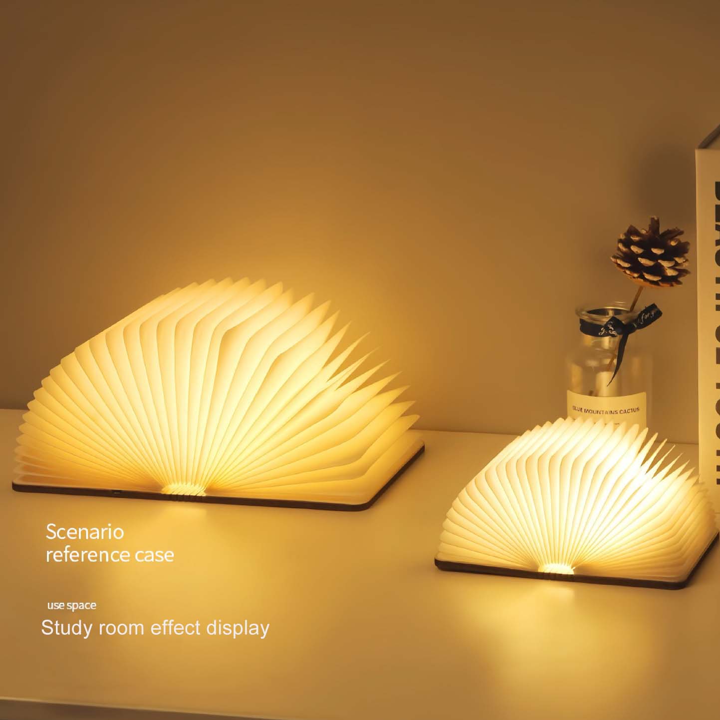 Book Desk Lamp