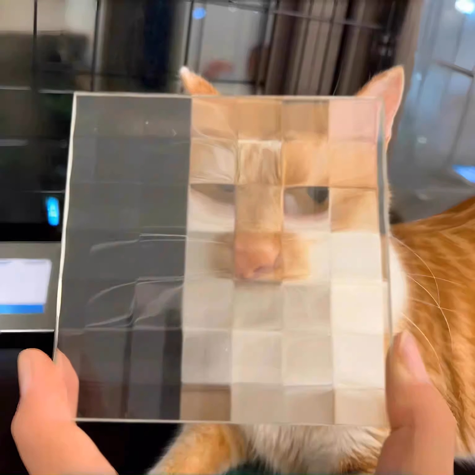 Mosaic pixel pet funny photo props