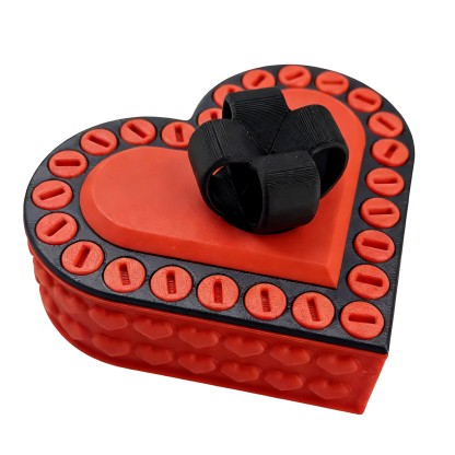 3D Printed Gift Case