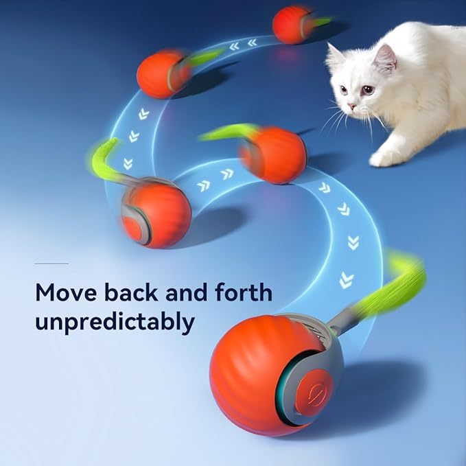 Smart Cat and Dog Toy Ball