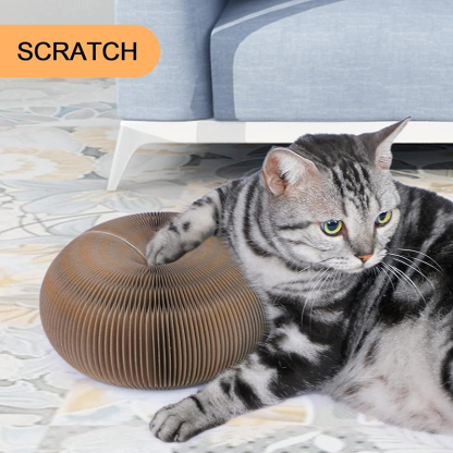 Magic Organ Cat Scratching Post