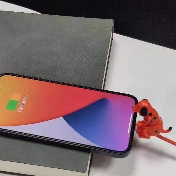 New Rogue Dog Data Cable