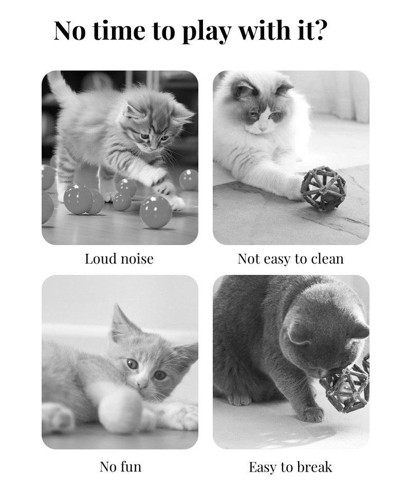 Smart Cat and Dog Toy Ball