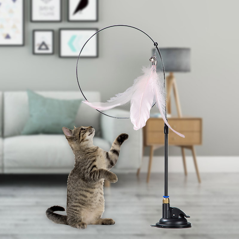 Suction cup steel wire long pole feather cat teaser