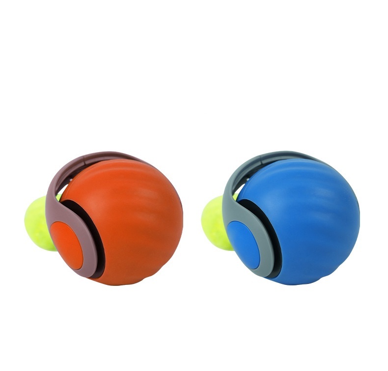 Smart Cat and Dog Toy Ball