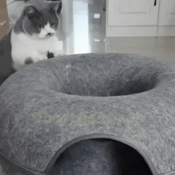  Peekaboo Cave