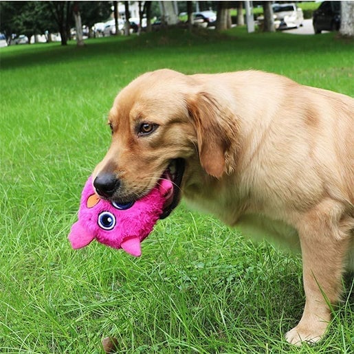 Monster Dog Active Ball-SLOOSELYK