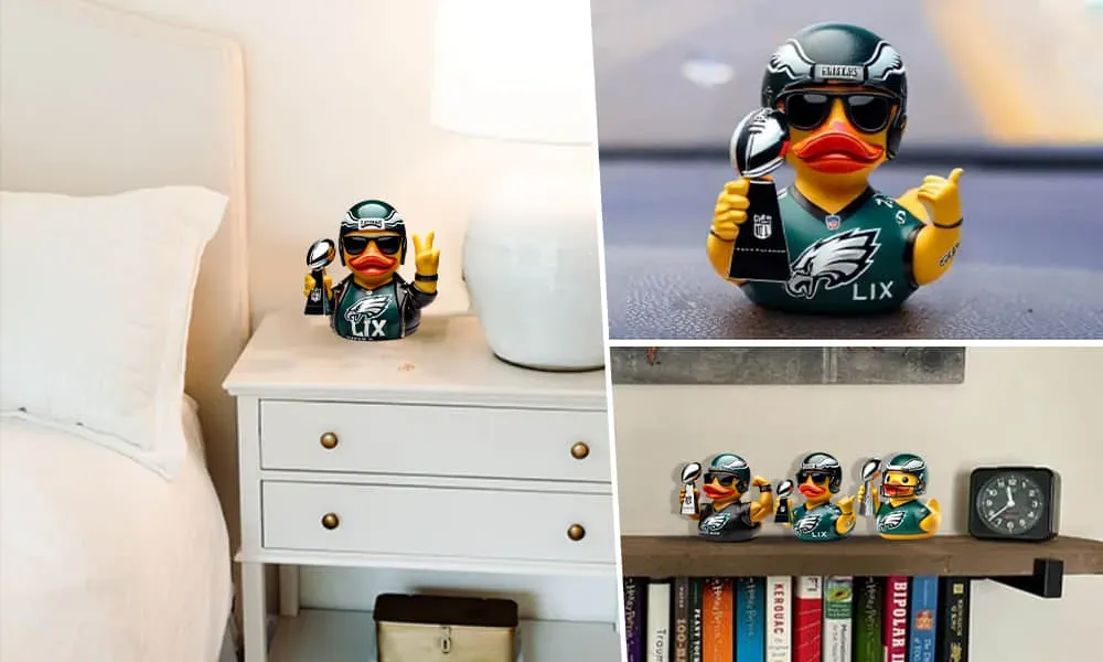 The Perfect Decor, Gift, and Fan Treasure for Every Eagles Fan