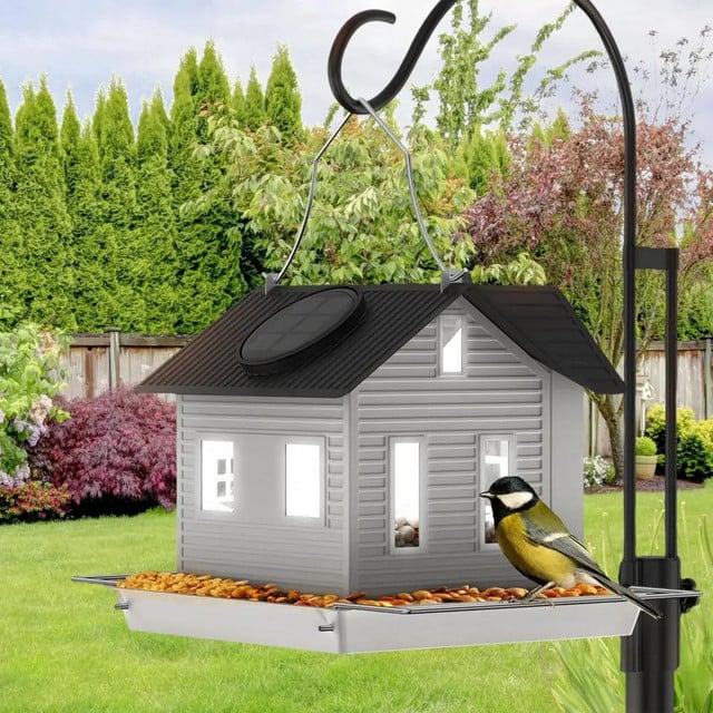 🔥Last Day 🔥Solar Bird Feeder