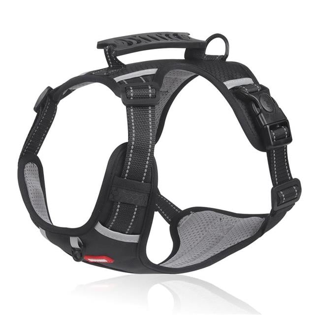 🔥Hot sale-49% Off🔥🐕Price - Pet Leash Free!