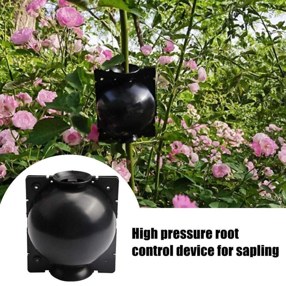 🌱Plant Root Growing Box (BUY 5 GET 3 FREE NOW)-SLOOSELYK