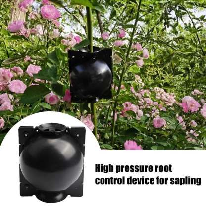 🌱Plant Root Growing Box (BUY 5 GET 3 FREE NOW)-SLOOSELYK