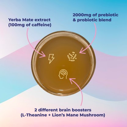 ☕Yerba Mate Instant Tea Powder