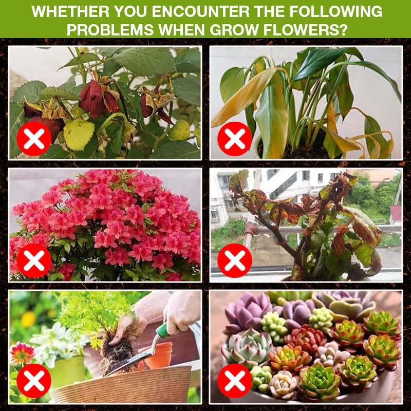 Plant Growth Enhancer Supplement-SLOOSELYK