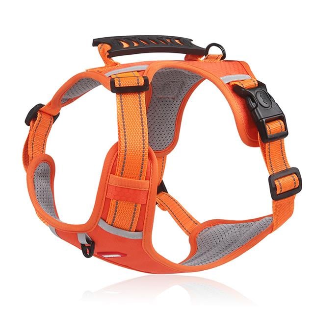 🔥Hot sale-49% Off🔥🐕Price - Pet Leash Free!