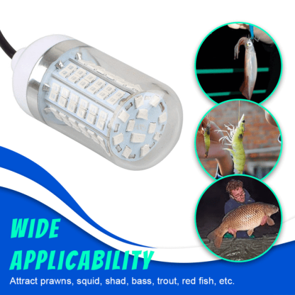 Deep Drop Fishing Light-SLOOSELYK