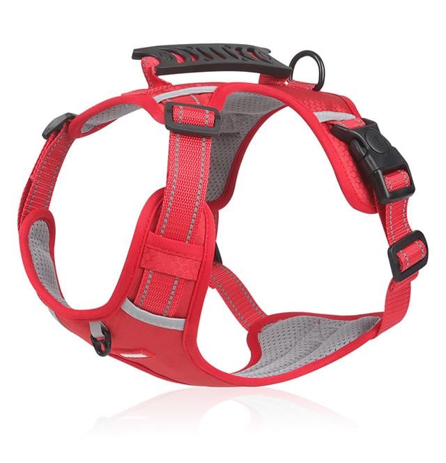 🔥Hot sale-49% Off🔥🐕Price - Pet Leash Free!