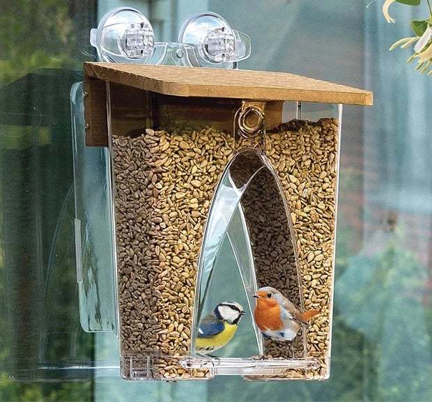 🐦2024 New Year Sale💝 Arch Window Bird Feeder🏠-SLOOSELYK