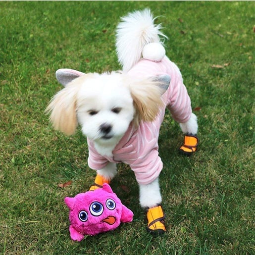 Monster Dog Active Ball-SLOOSELYK