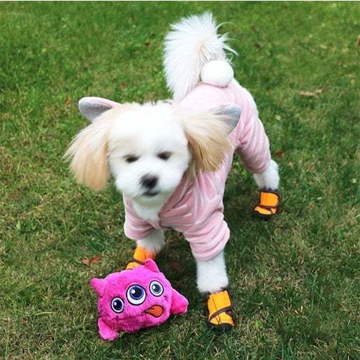 Monster Dog Active Ball-SLOOSELYK