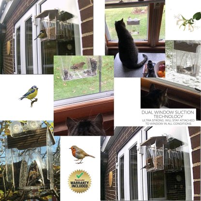 🐦2024 New Year Sale💝 Arch Window Bird Feeder🏠-SLOOSELYK