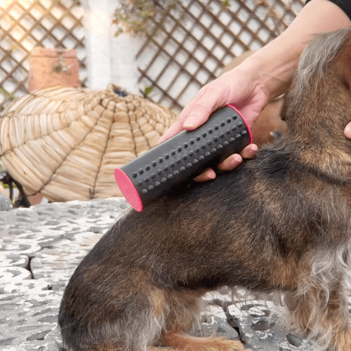 3 in 1 Deshedding Undercoat & Fur Brush-SLOOSELYK