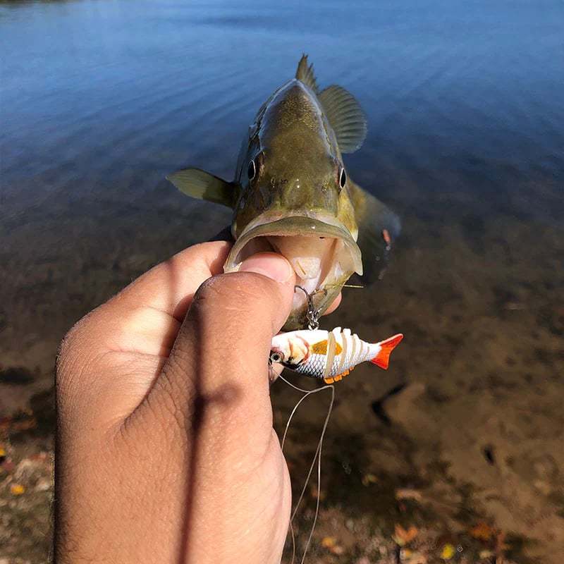 Micro Jointed Swimbait-SLOOSELYK