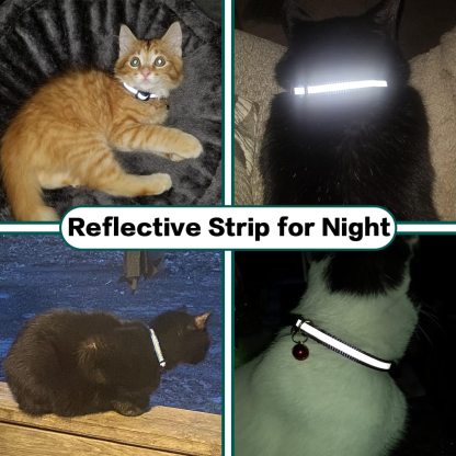 💰49% off📲Stay Connected: The EVANESCETMAirTag Collar-SLOOSELYK