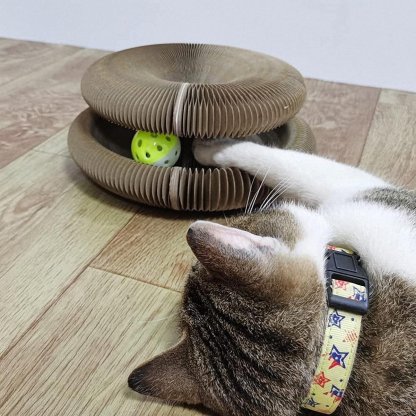 Magic Organ Cat Scratching Board--Comes with a toy bell ball-SLOOSELYK