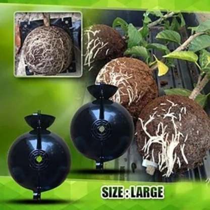 🌱Plant Root Growing Box (BUY 5 GET 3 FREE NOW)-SLOOSELYK