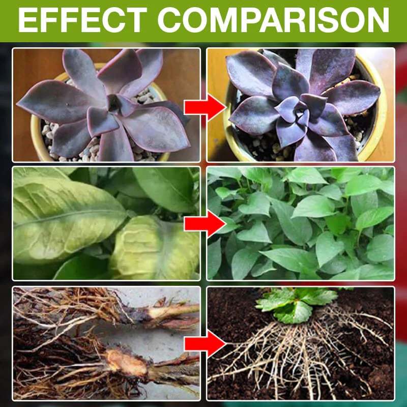 Plant Growth Enhancer Supplement-SLOOSELYK