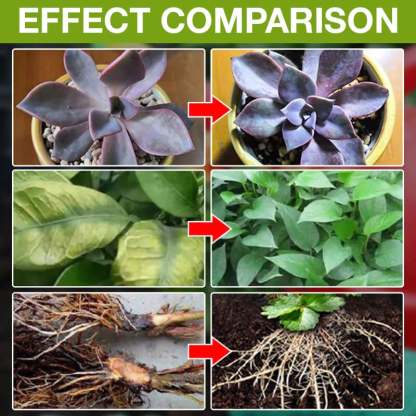 Plant Growth Enhancer Supplement-SLOOSELYK