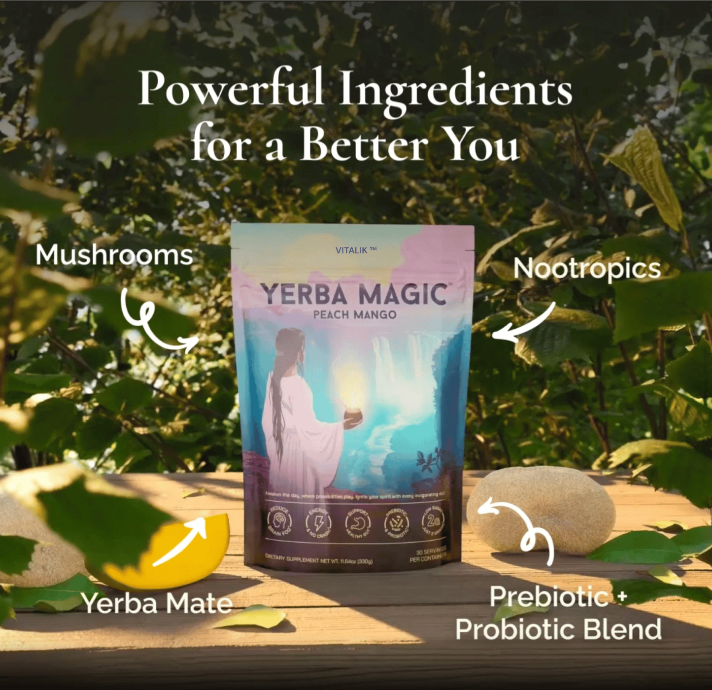☕Yerba Mate Instant Tea Powder