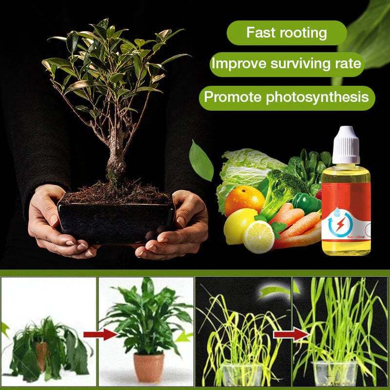 Plant Growth Enhancer Supplement-SLOOSELYK