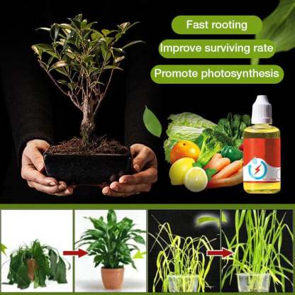 Plant Growth Enhancer Supplement-SLOOSELYK