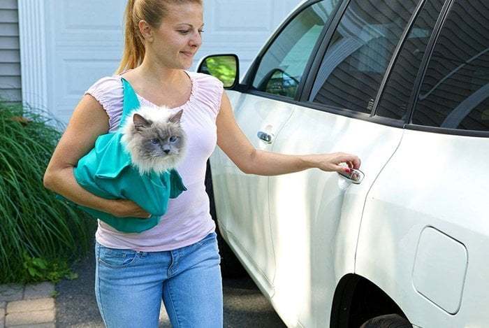 ✨Summer Hot Sale 45% OFF - Cat Carry Pouch-SLOOSELYK