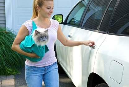 ✨Summer Hot Sale 45% OFF - Cat Carry Pouch-SLOOSELYK