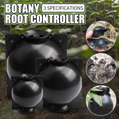 🌱Plant Root Growing Box (BUY 5 GET 3 FREE NOW)-SLOOSELYK