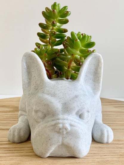 French Bulldog Planter-French Bulldog Gifts-SLOOSELYK