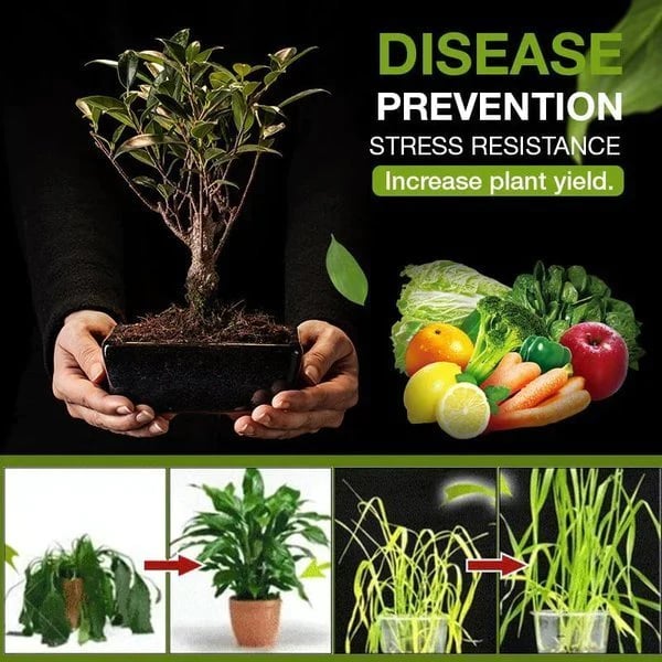 🔥BUY 3 GET 2 FREE🔥Soil Activated Treasure-SLOOSELYK