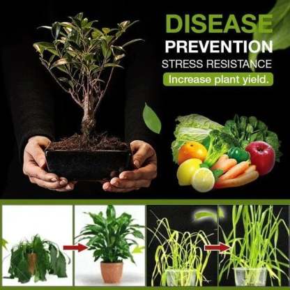 🔥BUY 3 GET 2 FREE🔥Soil Activated Treasure-SLOOSELYK