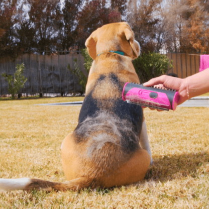 3 in 1 Deshedding Undercoat & Fur Brush-SLOOSELYK