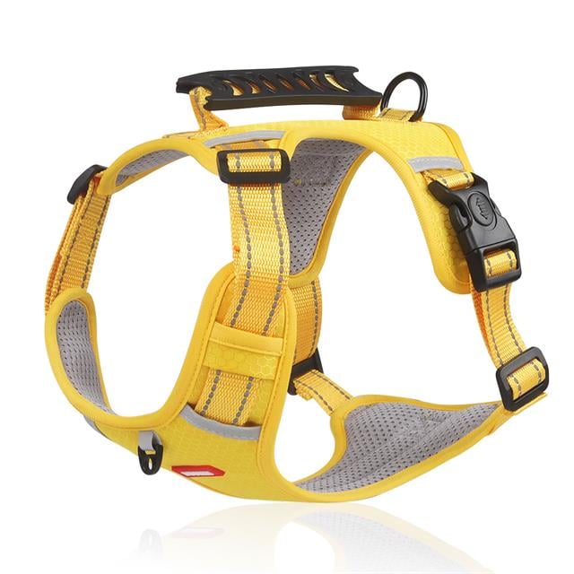 🔥Hot sale-49% Off🔥🐕Price - Pet Leash Free!