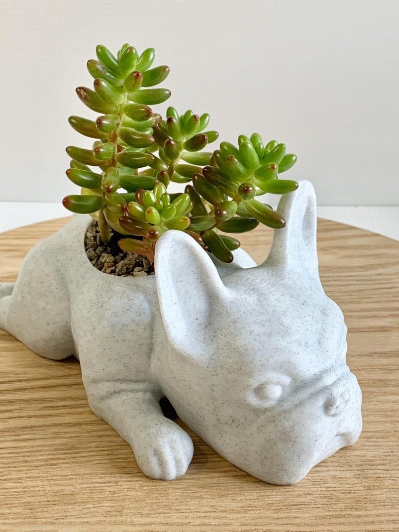 French Bulldog Planter-French Bulldog Gifts-SLOOSELYK