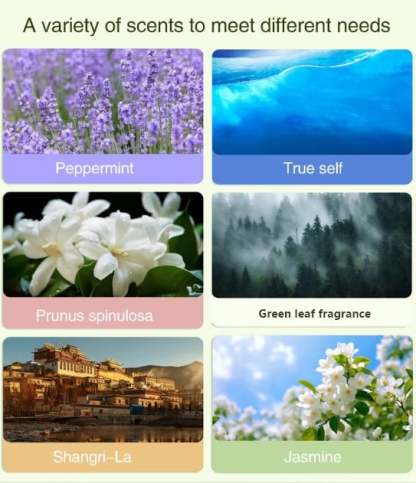 🔥Automatic Aromatherapy Diffuser-SLOOSELYK