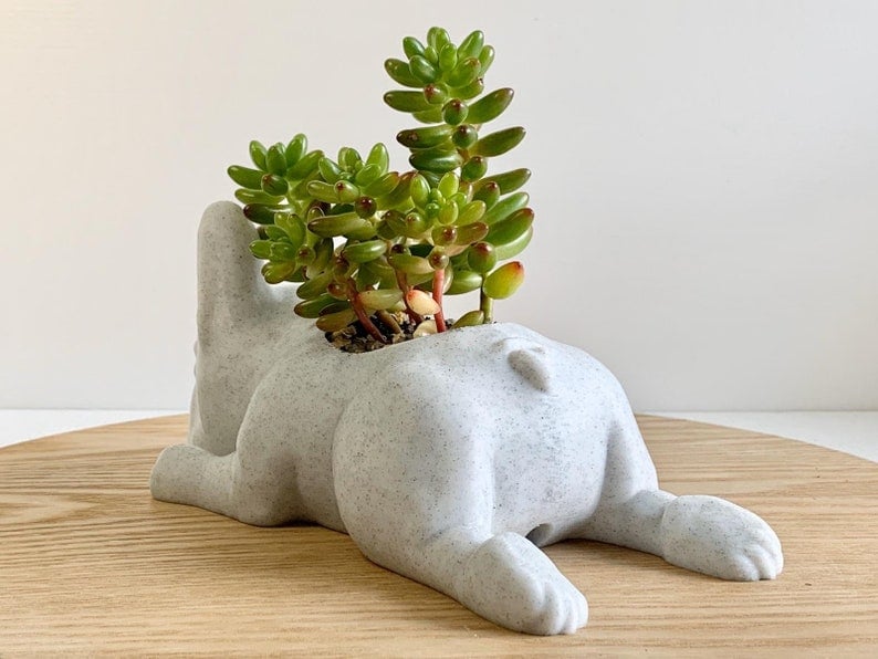 French Bulldog Planter-French Bulldog Gifts-SLOOSELYK