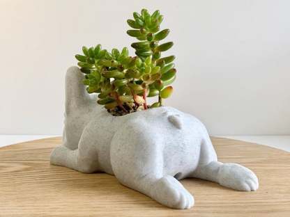 French Bulldog Planter-French Bulldog Gifts-SLOOSELYK