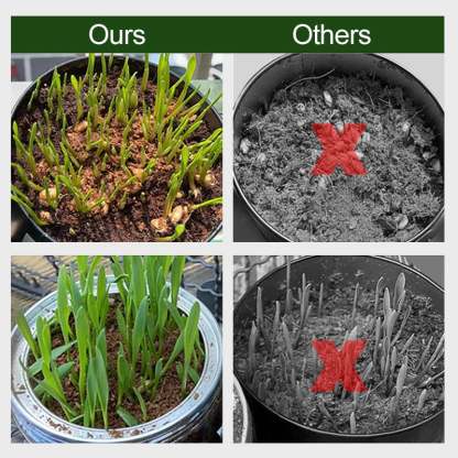Organic Coconut Coir for Plants-SLOOSELYK