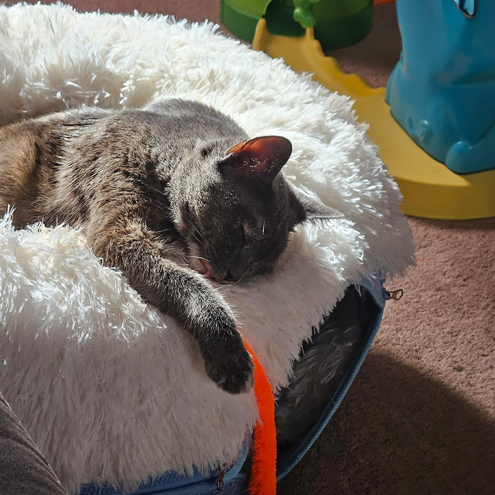 A gray cat sleeps on a fluffy white bed in the sunlight.