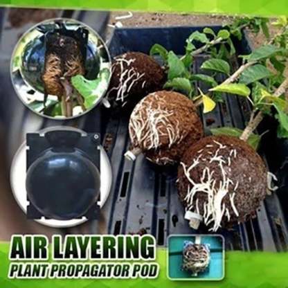 🌱Plant Root Growing Box (BUY 5 GET 3 FREE NOW)-SLOOSELYK